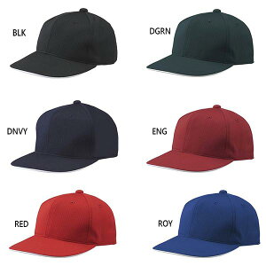 fTg Y AJLbv 싅 싅X Xq ubN  lCr[ u[ bh   O[   DESCENTE C-5000