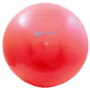 65cm x2 TNCf Y fB[X WjA oX{[ 싅pi K g[jO X|[c B ؃g ̊ tBbglX  bh   SAKURAI TPT0268