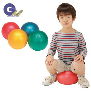 a25cm Goj[ Y fB[X WjA \tgMjN g[jO ؃g tBbglX oX{[ W{[ g|  EVERNEW ETE301