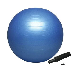 55cm |vt n^ Y fB[X WjA oX{[ ZCteB[ X|[cp g[jO tBbglX _CGbg ̊ u[   HATAS DB55P