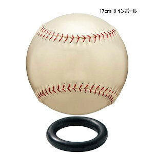 色紙 ボールの人気商品 通販 価格比較 価格 Com
