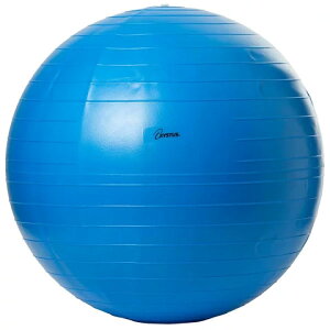 ���a65cm �g�[�G�C���C�g �����Y ���f�B�[�X �{�f�B�[�{�[�� �o�����X�{�[�� ���K �G�N�T�T�C�Y �t�B�b�g�l�X �_�C�G�b�g �p������ �̊��g���[�j���O �u���[ �� �������� TOEILIGHT H7262