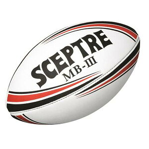 Zv^[ WjA LbY Or[{[ MBE3 wEXN[p 3 wNp ubN   SCEPTRE SP913