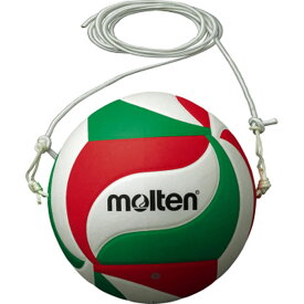 5号球 モルテン メンズ レディース テッサーボール バレーボール スパイク練習用 送料無料 molten V5M9000T