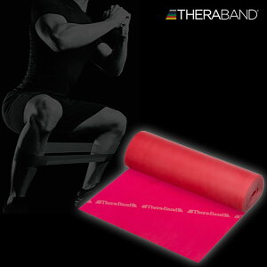 12.5cm×5.4m fB[AhG Y fB[X Zoh THERABAND xx0 g[jOoh GNTTCY }jAt bh   D M TB2