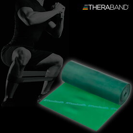 幅12.5cm×長さ5.4m ディーアンドエム メンズ レディース セラバンド THERABAND 強度レベル+1 トレーニングバンド エクササイズ マニュアル付き グリーン 緑 送料無料 D M TB3