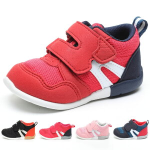 [X^[ xr[ LbY Lbg CARROT MS B111 Xj[J[ V[Y ^C ʉ  xN }WbNe[v ubN  lCr[ bh  sN  MoonStar