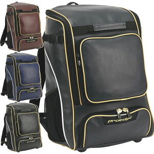 42L GXGXPC싅 Y fB[X obNpbN 싅pi X|[cobO 싅obO ΂ 싅 w ubN  lCr[ u[   SSK EBA1014