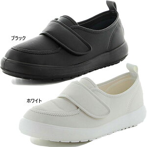 3E ╝L [X^[ Y fB[X l̏㗚 MSIgimEoL04 V[Y  㗚  @ nr y { zCg  ubN   MoonStar