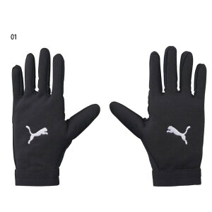 v[} Y WINTERIZED v[[O[u TbJ[pi ubN   PUMA 041873