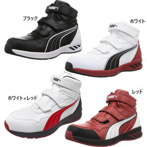 v[} Y C_[2.0 ~bh JSAA AF [NV[Y ƌC SC nCJbg xN }WbNe[v zCg  ubN   PUMA 63.352 63.353 63.356
