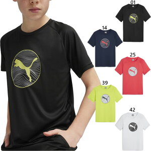 v[} WjA LbY ANeBu X|[c | OtBbN  TVc gbvX tBbglX g[jOEFA ubN  lCr[  PUMA 681361