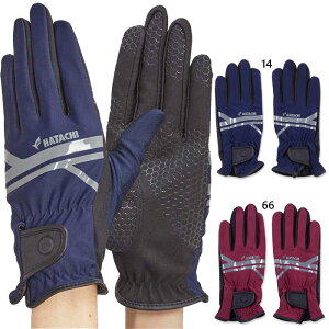 n^` Y fB[X SwEgXgb`O[u OEhStpi  z UVJbg lCr[  HATACHI BH8029