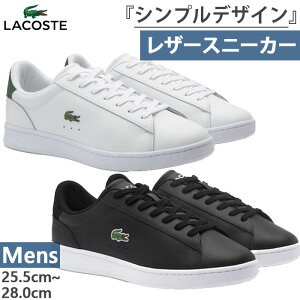 RXe Y J[ir[ Zbg CARNABY SET 224 1 SM Xj[J[ V[Y RC [Jbg U[Xj[J[ zCg  ubN   LACOSTE 48SMA0011