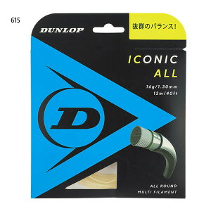 _bv Y fB[X ACRjbNEI[ ICONIC ALL dPbg ejXKbg dejXXgO  DUNLOP DST31001