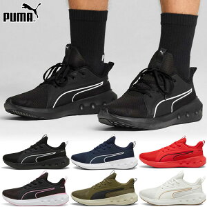 v[} Y fB[X \tgCh SOFTRIDE J[\ Xj[J[ V[Y RC g[jOV[Y W tBbglX ubN   PUMA 310154