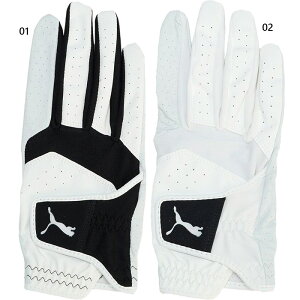 v[}St Y St t@g U[ O[u Ep Stpi  zCg   Puma Golf 042017