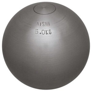 jVX|[c Y fB[X C Kp 5.00kg Cۓ  NISHI G1154