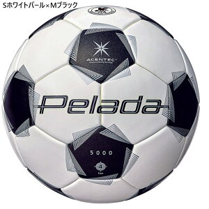 4 e WjA LbY y[_5000LbY TbJ[{[ 4 zCg   molten F4K5000