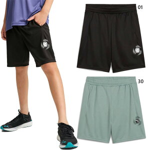 v[} WjA LbY ANeBuX|[c ACTIVE SPORTS OtBbN | V[c B tBbglX g[jOEFA {gX V[gpc ubN  O[   PUMA 687747