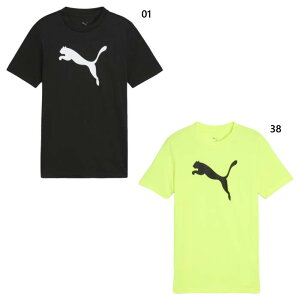 v[} WjA LbY TAD ESS Lbg S TVc TVc gbvX tBbglX g[jOEFA ubN  CG[ F  PUMA 527188
