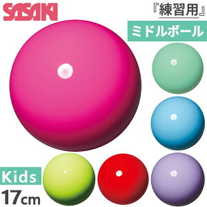 17cm Kp TTL WjA LbY K[Y ~h{[ M-20B ̑pi V̑ u[ bh   CG[ sN O[ p[v F    SASAKI M20B