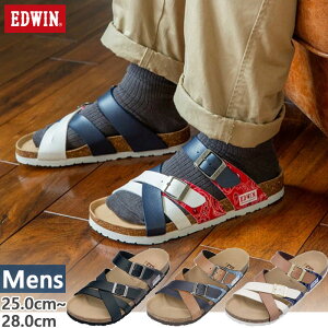 GhEB Y tbgxbg T_ V[Y RtH[gT_ xg VRRN ubN  u[ uE  F  EDWIN EW9166