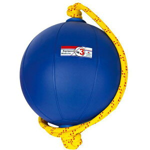 3kg jVX|[c Y fB[X XEBOfBV{[ ㋣Z g[jOpi u[   NISHI T5913