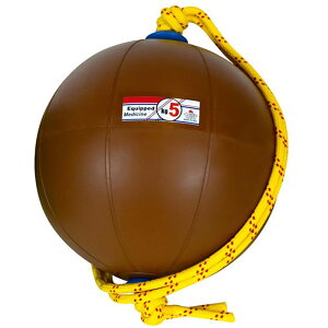 5kg jVX|[c Y fB[X XEBOfBV{[ ㋣Z g[jOpi uE F  NISHI T5915