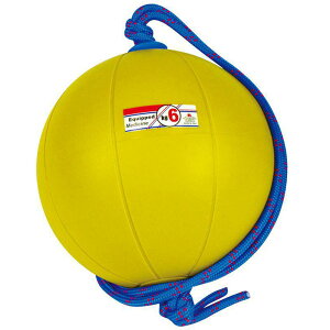 6kg jVX|[c Y fB[X XEBOfBV{[ ㋣Z g[jOpi CG[ F  NISHI T5916