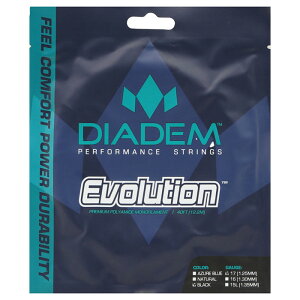 P 12.2m _CAf Y fB[X G{[V EVOLUTION ejXpi XgO Kbg dejX u[   DIADEM TFA009