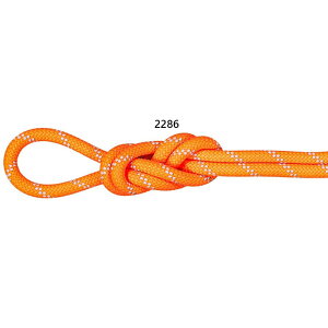 60m a9.5mm }[g Y fB[X 9.5 ApC hC [v 60m 9.5 Alpine Dry Rope 60m oR NC~O [v IW  Mammut 2010-05530