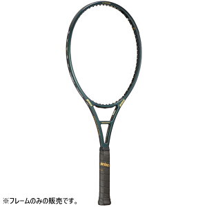 vX Y fB[X t@gOt@Cg PHANTOM GRAPHITE 107 dejX Pbg O[   prince 7TJ225