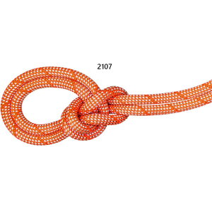 }[g Y fB[X 9.8NbO NVbN [v 40m 9.8 Crag Classic Rope 40m oR NC~O [v IW  Mammut 2010-05840