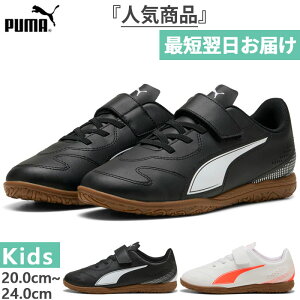 v[} WjA LbY Bg[A II IT V JR tbgTV[Y ChA  TbJ[g[jOV[Y gV[ xN }WbNe[v zCg  ubN   PUMA