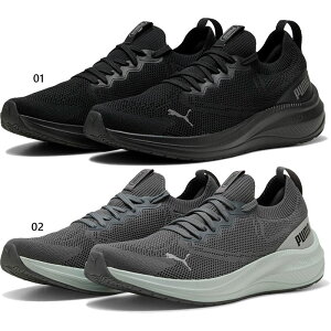 v[} Y XJCPbg LITE2 GWjA[g jOV[Y WMO }\ Xj[J[ V[Y RC ubN  O[ DF  PUMA 312336