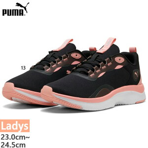 v[} fB[X I EBY Xj[J[ RC jOV[Y g[jOV[Y W tBbglX [Jbg ubN   PUMA 397673