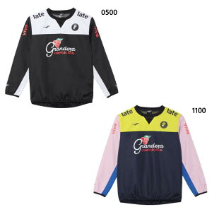 tB^ WjA LbY JR GDZsXegbv TbJ[EFA tbgTEFA gbvX  ubN  lCr[  FINTA FT4554