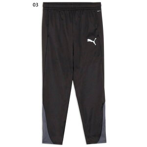 v[} Y TbJ[ CfBrWA INDIVIDUAL WINTERIZED h pc TbJ[EFA tbgTEFA {gX ubN   PUMA 660386