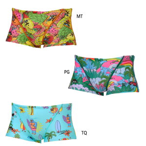 Xs[h Y K^[Y{bNX XCEGA XC~O j j Kp u[   speedo ST52551MU