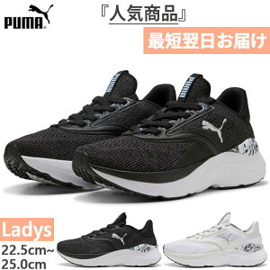 v[} fB[X \tgCh SOFTRIDE Cu ~XeBbN Xj[J[ V[Y RC  [Jbg jO ubN  O[ DF  PUMA 311970