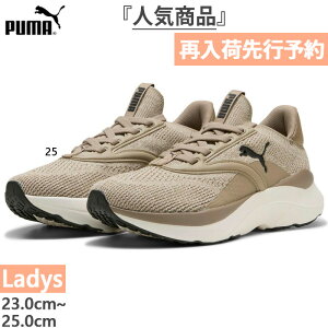 y11{ח\񏤕iz v[} fB[X \tgCh SOFTRIDE Cu Xj[J[ V[Y RC  [Jbg  PUMA 310160