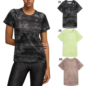 �v�[�} ���f�B�[�X �x���V�e�B W Run Velocity AOP T�V���c �W���M���O �}���\�� �����j���O�E�F�A �g�b�v�X ����T�V���c �u���b�N �� �J�[�L �������� PUMA 529123