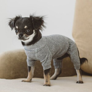 y  mzhbOEFA@@p@hbO@@EFA@l@p[X@Vv@@Y@{@@D@@Rbg@^@^@`@v