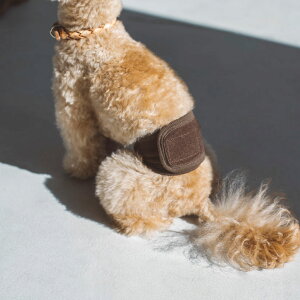 マナーベルト マナー ベルト バンド おしゃれ シンプル コットン 肌に優しい 綿 コットンパイル 日本 国内 マーキング防止 マーキング おしっこ 男の子 オス 雄 小型犬 チワワ プードル タイ