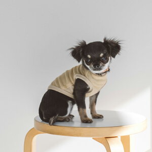 y  mzhbOEFA@@p@hbO@@EFA@Vv@@Y@{@@D@@Rbg@^@^@`@v[h@[L[@