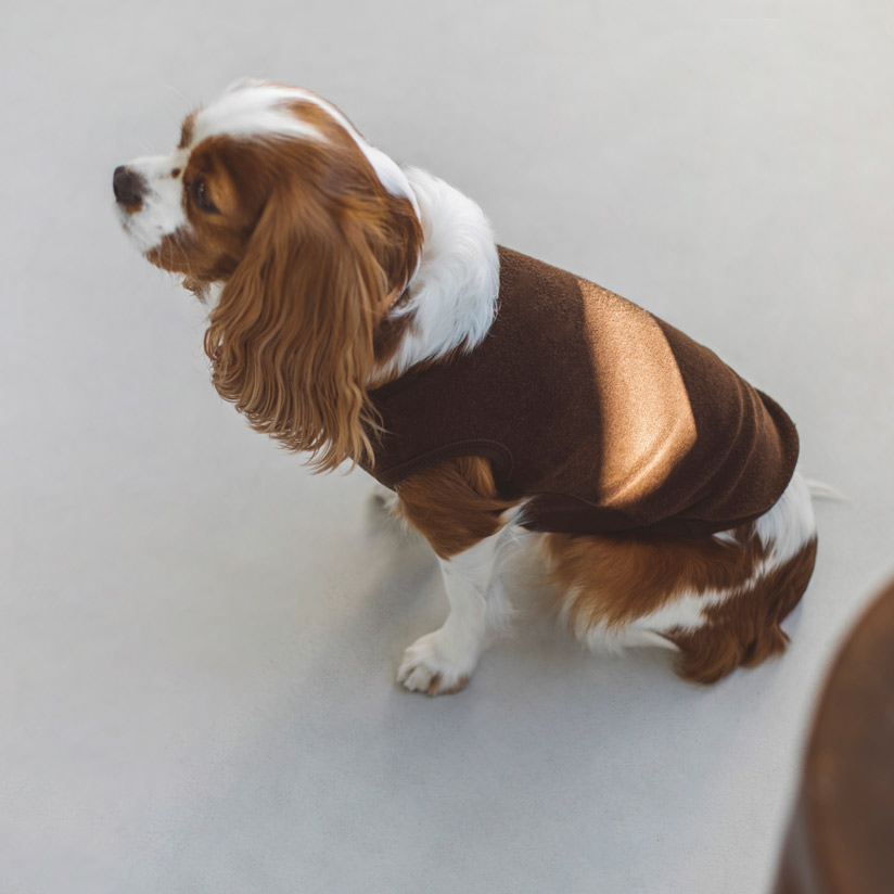 激安通販ショッピング 犬 服 ギフ_包装 パピーから着れるウェアを そんなコンセプトで作りました 肌着 シンプル 洋服 ドッグウェア コットンパイルニットタンク