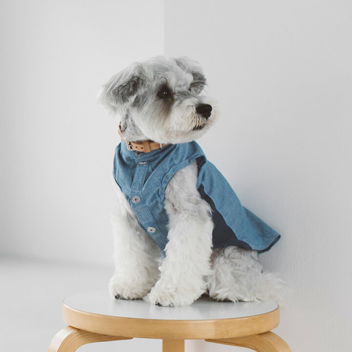 楽天市場 犬 服 ドッグウェア バンドカラーシャツ犬服 おしゃれ シャツ 高級 シンプル いぬ 洋服 ウェア ドッグ 日本製 フリーステッチ