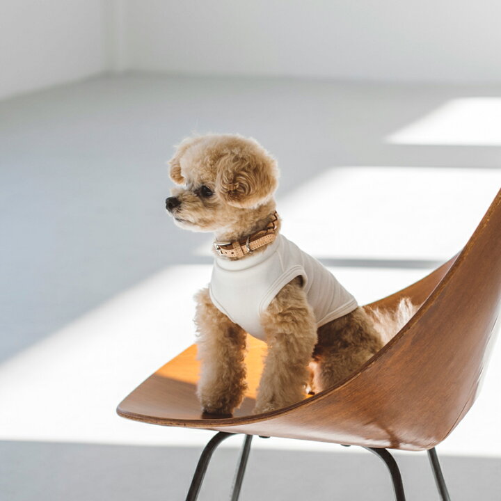 楽天市場 犬 服 ドッグウェア ストレッチタンク Ss S犬服 おしゃれ タンク 高級 シンプル いぬ 洋服 ウェア ドッグ 日本製 Free Stitch