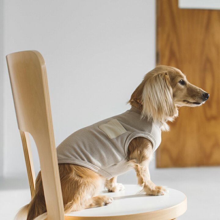 楽天市場 犬 服 ドッグウェア ストレッチタンク M L Ll 犬服 おしゃれ タンク 高級 シンプル いぬ 洋服 ウェア ドッグ 日本製 Free Stitch